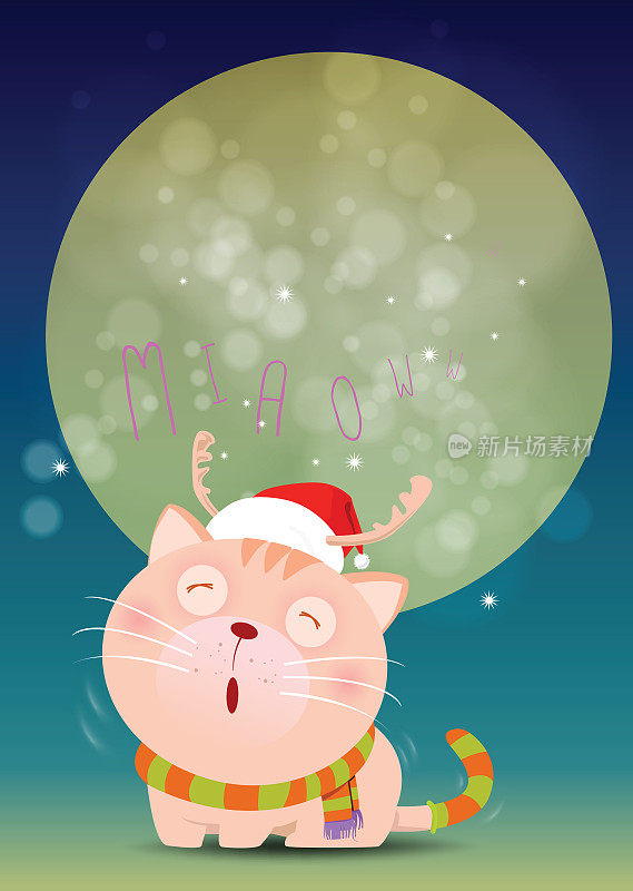 圣诞猫独自一人在满月前喵喵叫