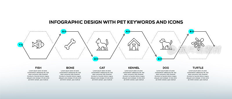 信息图表设计模板与宠物的关键字和图标