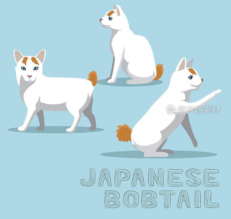 猫日本短尾卡通矢量插图