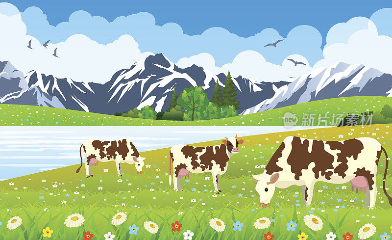 三头牛在一个风景和农场。