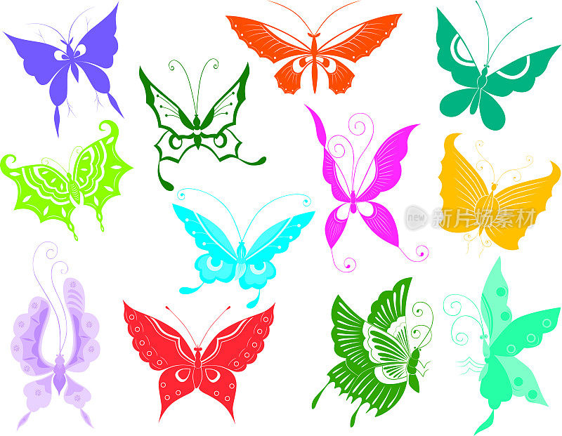 十二个蝴蝶