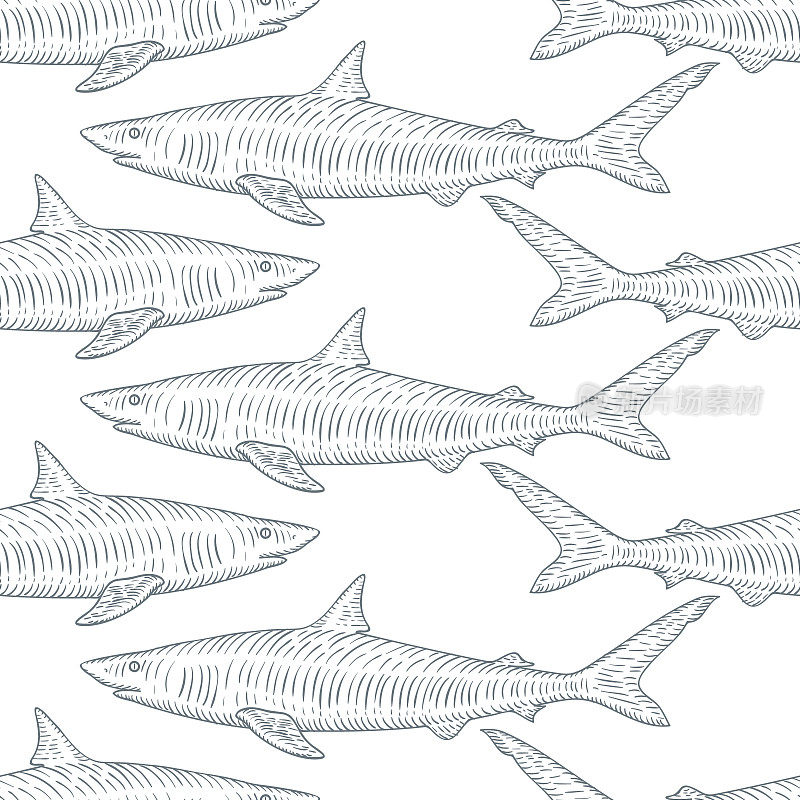 手绘鲨鱼无缝模式背景。向量