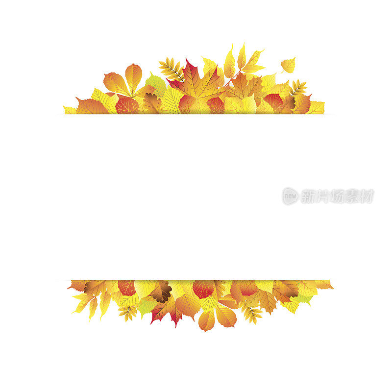 美丽的秋天背景与不同的秋天树叶和矩形的文字空间。