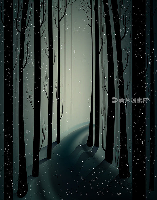 幽深的仙女霜冻森林有着神秘的光，阴影，阴沉的冬天森林，害怕寒冷的霜冻森林，