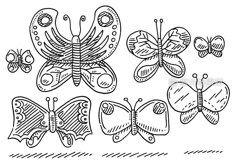 一套通用的蝴蝶绘图