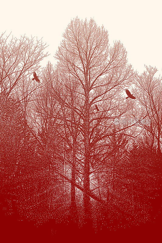 深秋的树木和乌鸦