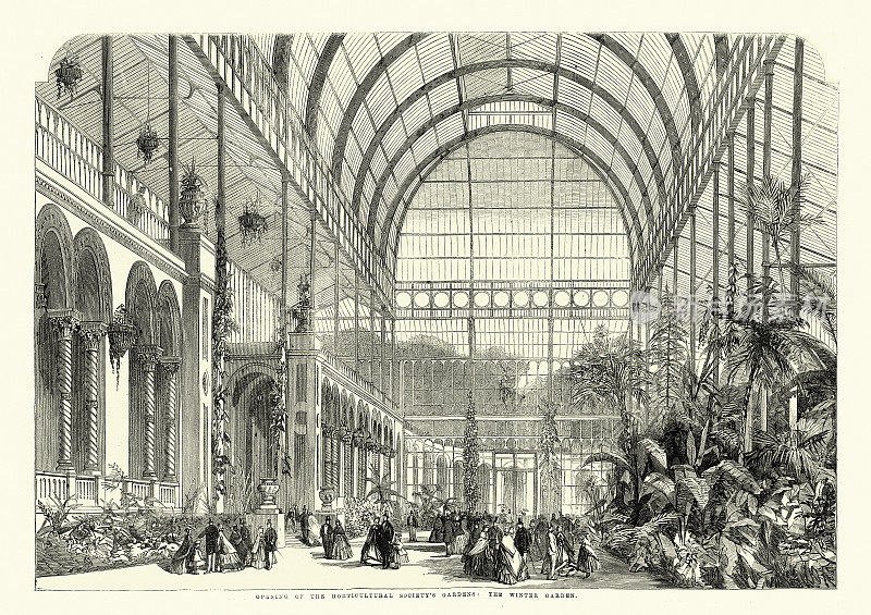 园艺协会的花园，1861年的冬季花园，19世纪
