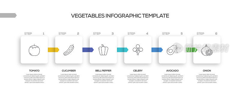 蔬菜相关工艺信息图表模板。过程时间图。带有线性图标的工作流布局