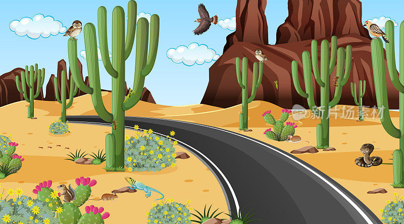 道路穿越沙漠的森林景观与沙漠动物的场景