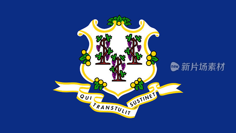 康涅狄格州旗帜Eps文件-康涅狄格州矢量文件的旗帜