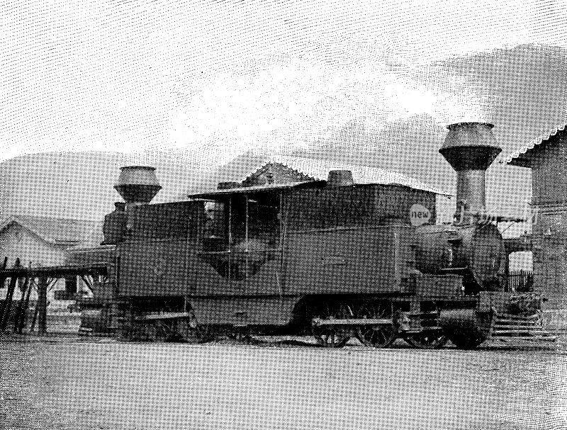 19世纪，墨西哥韦拉克鲁斯的帝国墨西哥铁路列车的双端蒸汽机