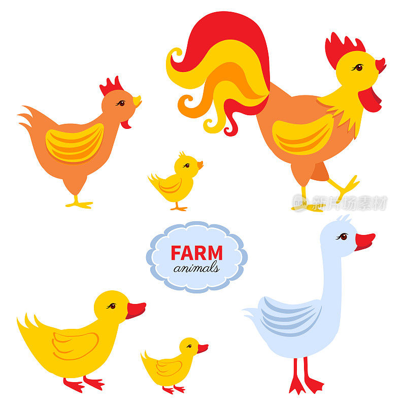 卡通可爱的农家动物，公鸡、小鸡、小鸡、鸭子、鹅孤立在白色的背景上，家养有趣的小鸟设置，字符设计的贺卡，儿童邀请，字母表的创造
