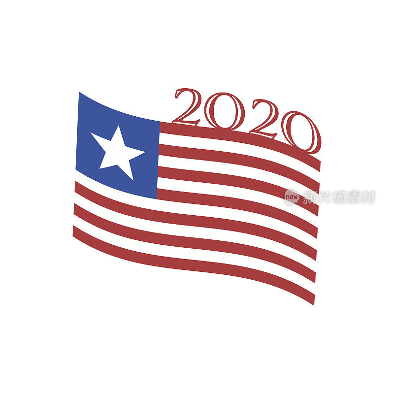 美国2020年大选设计元素