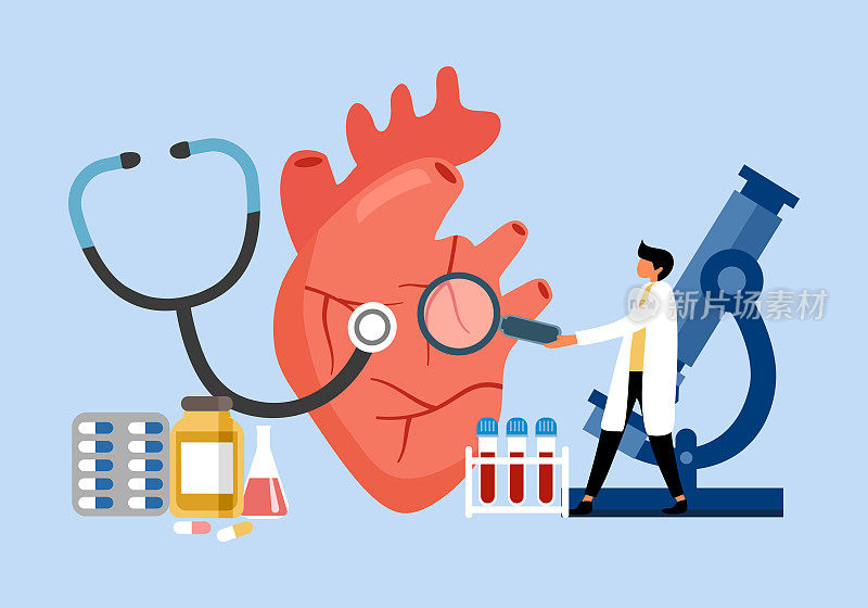 心脏病发作，心脏病治疗理念。人体的循环系统。心脏病学诊所。