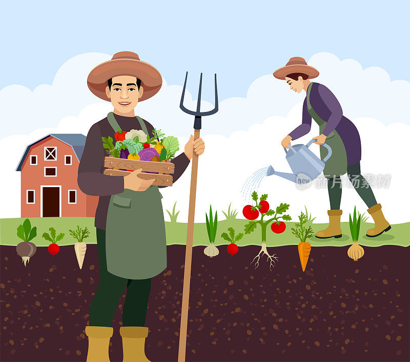 两个园丁。女人给蔬菜浇水，男人拿着一个装有新鲜蔬菜的木箱。