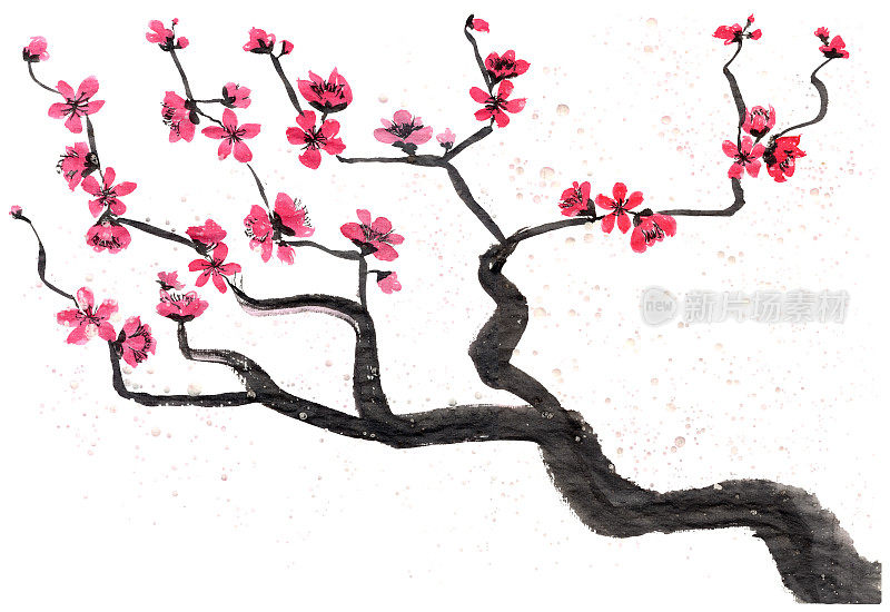 东方新年贺卡。梅花和盛开的树枝，飘落的雪花在日本传统画风Sumi-e中，孤立在白色的背景上