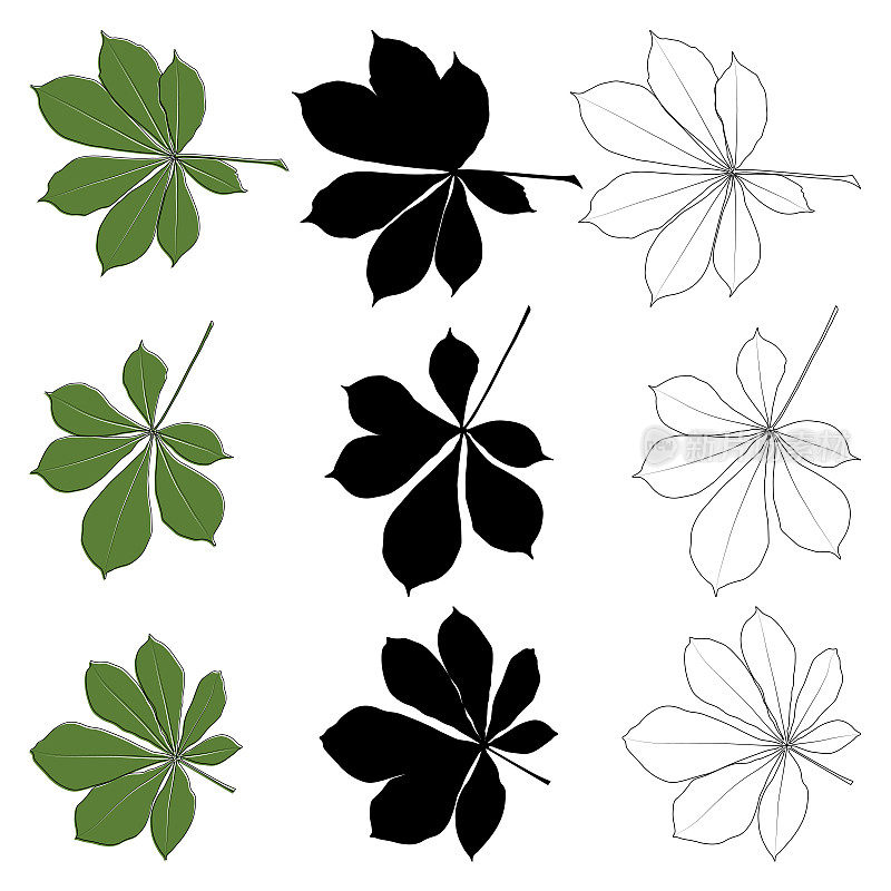 集合矢量栗子叶轮廓，剪影黑色和彩色图标。简单的栗子叶为标志插图。逼真的手绘树叶插图设置在白色背景上。