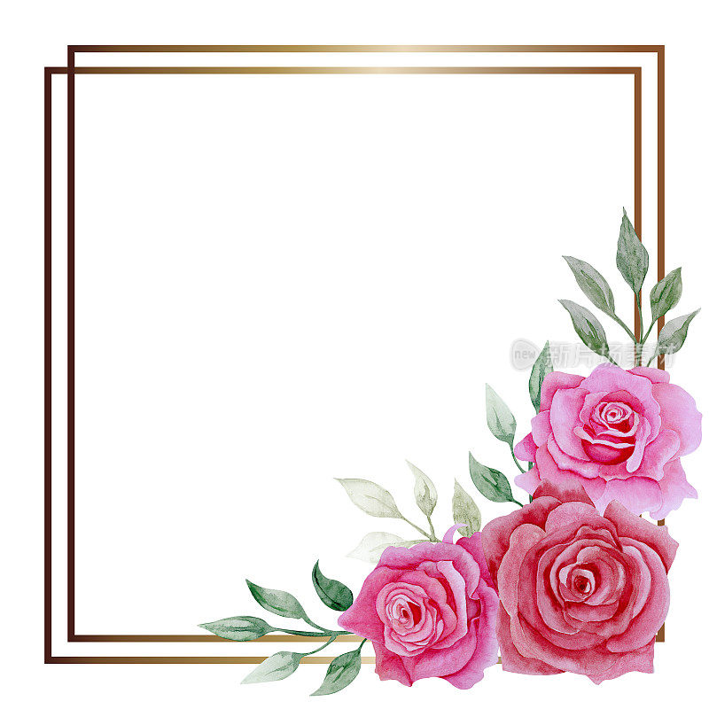 粉色玫瑰花束，框1，手绘水彩画插图。