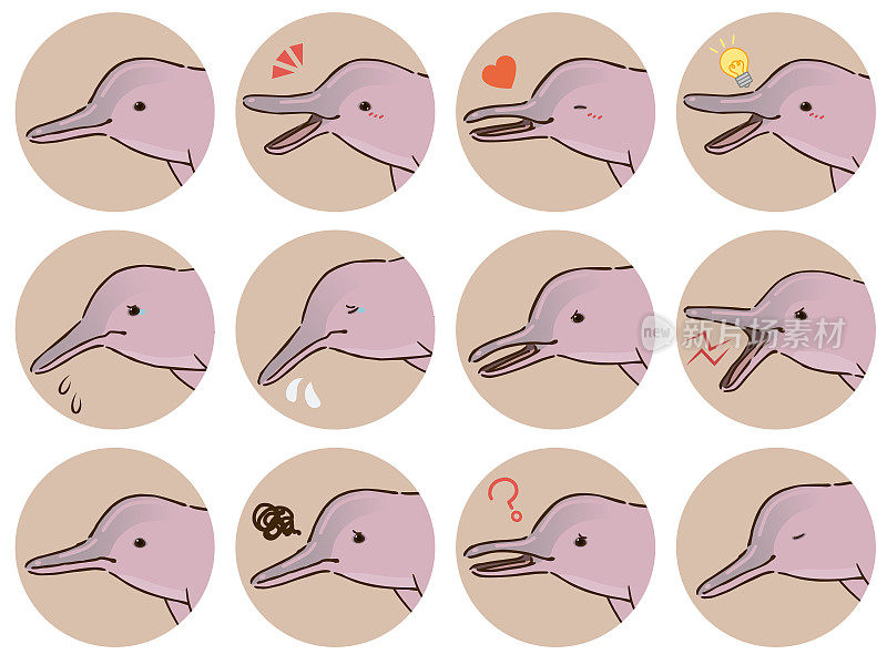 亚马逊河海豚面部表情图标集