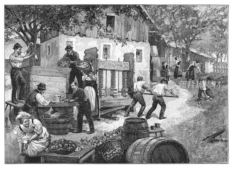 1899年，上奥地利的农民在酿造苹果酒