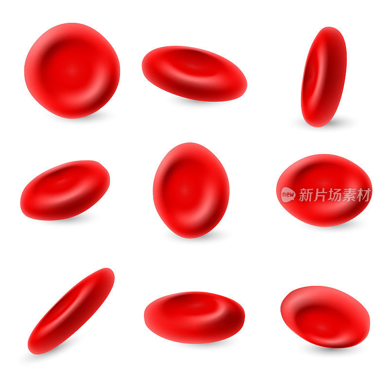 人红细胞，3d显微镜红细胞载体设置分离在白色背景