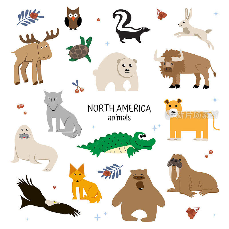 北美的一组动物。儿童教育海报。狐狸，狼，野牛，灰熊，臭鼬，猫头鹰，海象，鹰，海豹，麋鹿，野兔，鳄鱼