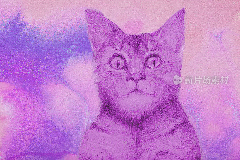 插图绘画与水彩画小猫的肖像与发光的眼睛在一个抽象的背景流动水彩画在上午粉红色colorsя