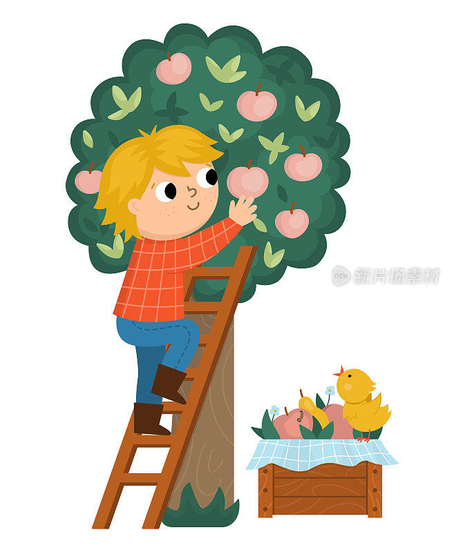 带菌者从树上摘苹果。可爱的孩子做农活的图标。农村的国家性格。孩子在梯子上摘苹果。滑稽农场插图与卡通男孩