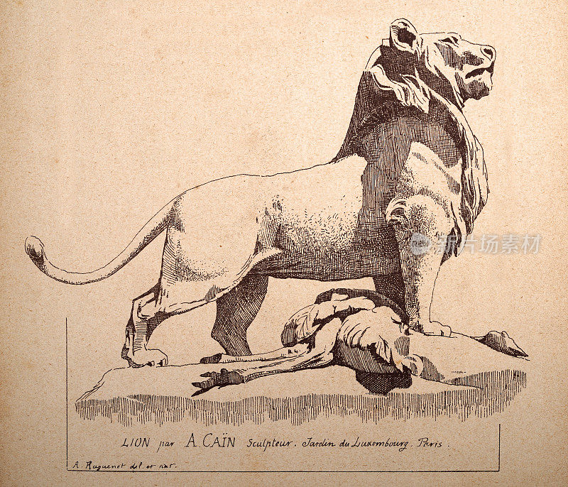 阿该隐的狮子雕塑，卢森堡公园，维多利亚艺术版画