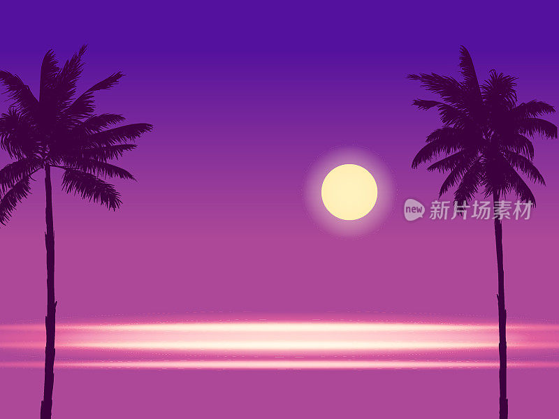 热带海滨夜景，海岸，棕榈树，月光，海洋。夏日异域风光观，剪影