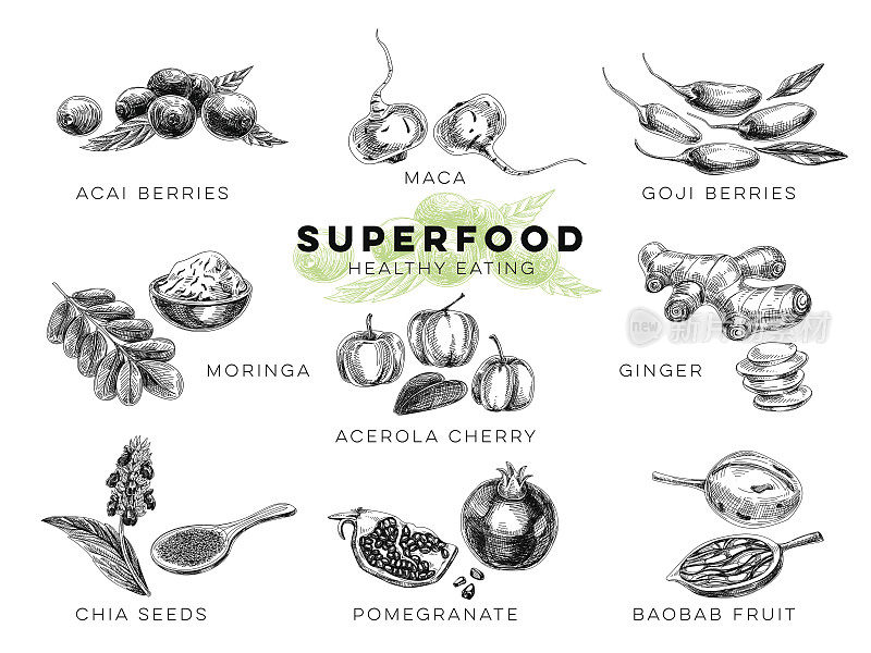 矢量手绘超级食物插图。