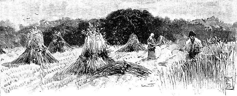 19世纪的文章插图描绘了一个典型的英国乡村在收获的时候的景象;1893年的维多利亚农业和庄稼采集