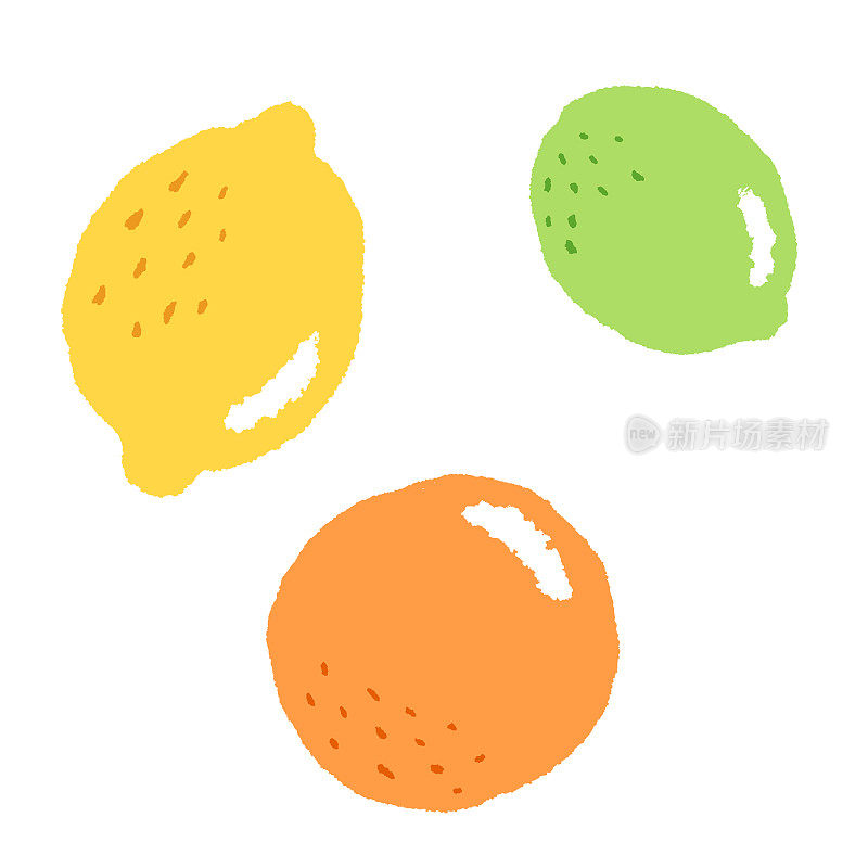 柑橘类水果绘画