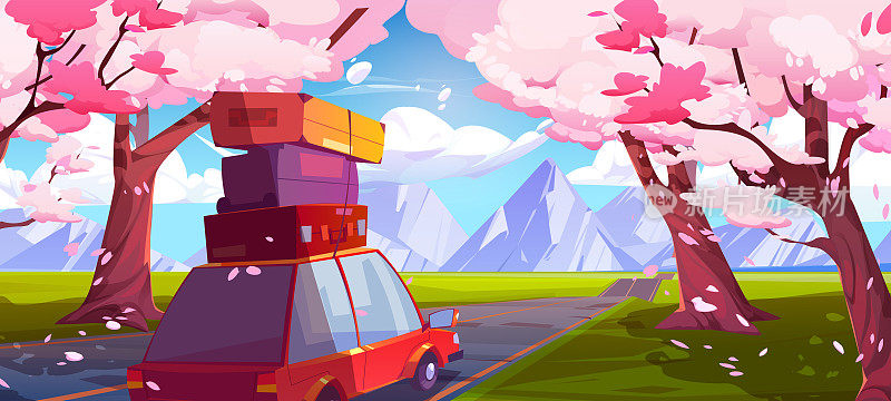 樱花和汽车在道路上，山景观