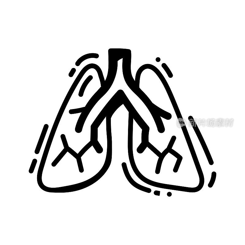 人体肺图