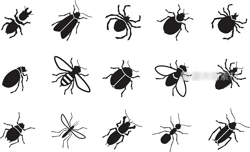 害虫和各种昆虫设置矢量图标