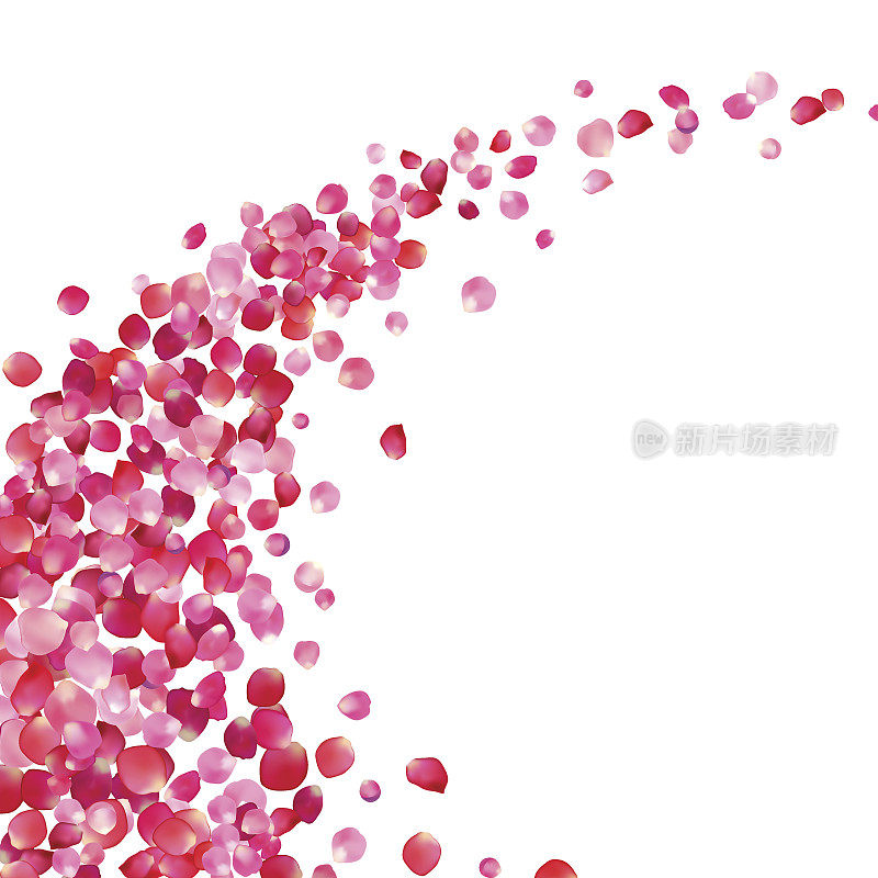 粉红玫瑰花瓣漩涡