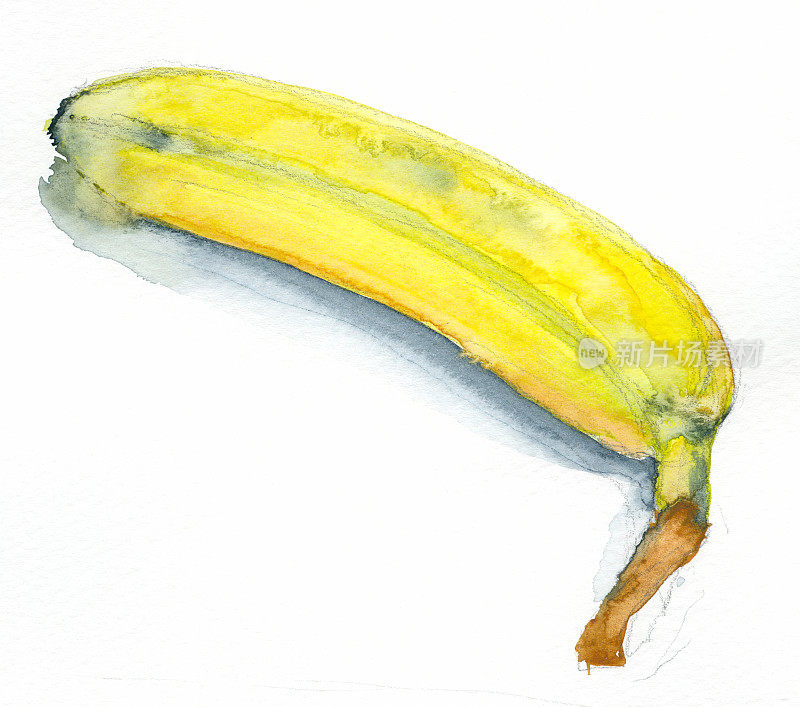 香蕉画水彩画