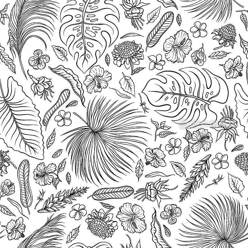 矢量草图黑白集无缝图案。热带植物的叶子和奇异的花蕾。图片轮廓图收集季风雨林草本和植被