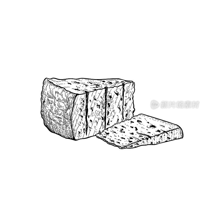 戈尔根朱勒干酪蓝奶酪。手绘意大利当地传统蓝奶酪速写写真。矢量插图孤立在白色上。