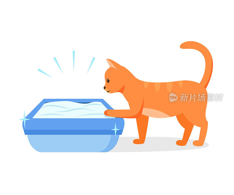 猫用干净的猫砂盒。维护猫厕所的正确方法。宠物厕所卫生概念。矢量图