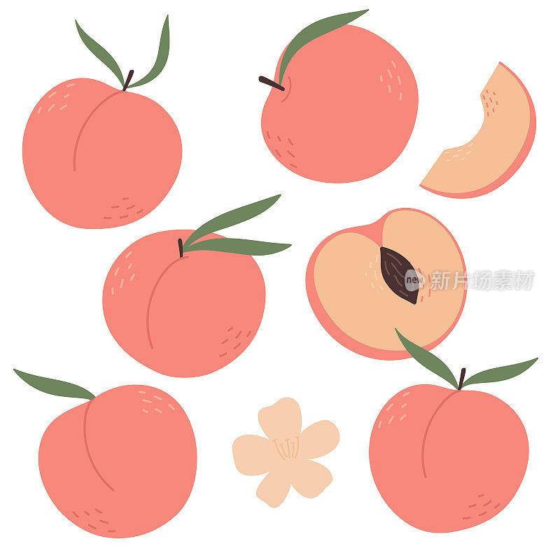 一套带叶子的桃子。桃子、油桃、杏、苹果各取一半、切片及整型。