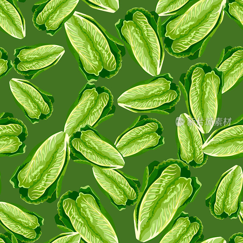 无缝模式生菜罗马诺在绿色背景。现代口感搭配沙拉。