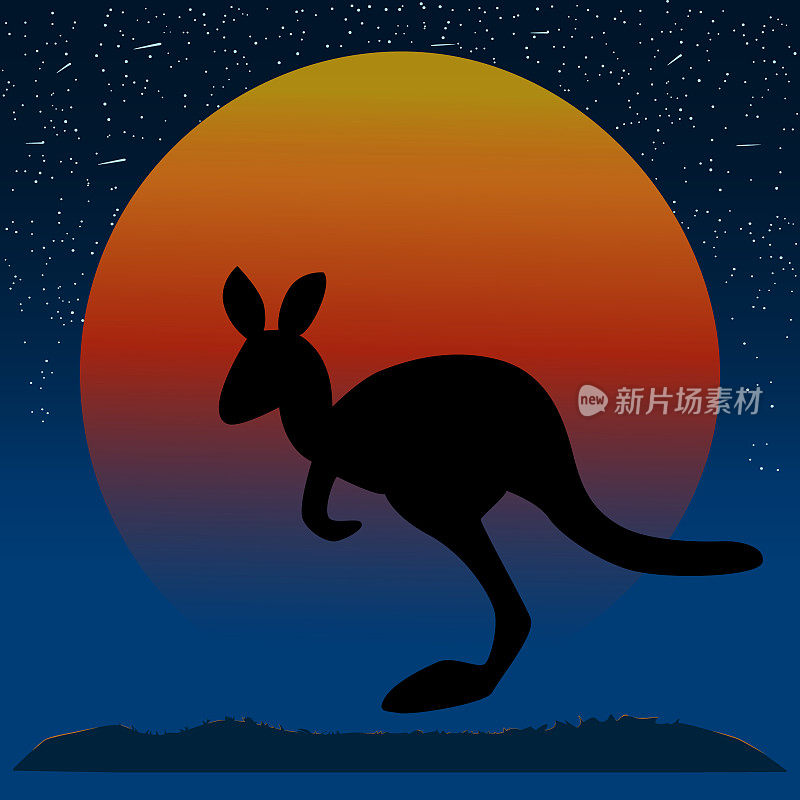 袋鼠剪影在日落的背景。日落在澳大利亚与星星的天空和小袋鼠的身影。