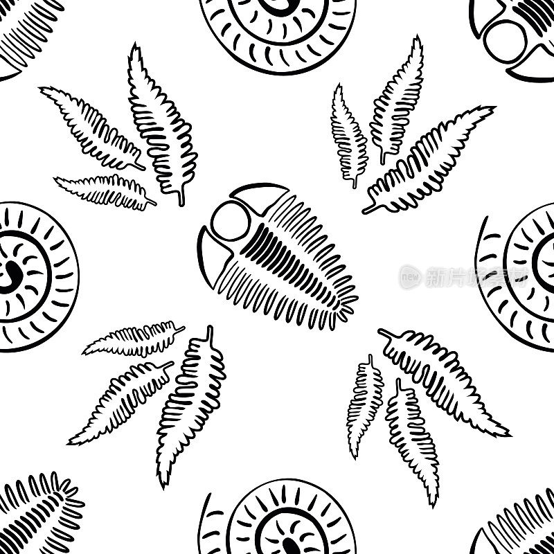 菊石三叶虫蕨类载体无缝图案背景。手绘螺旋形壳头足类和节肢动物肋化石，蕨类。灭绝的海洋捕食者和植物背景。教育