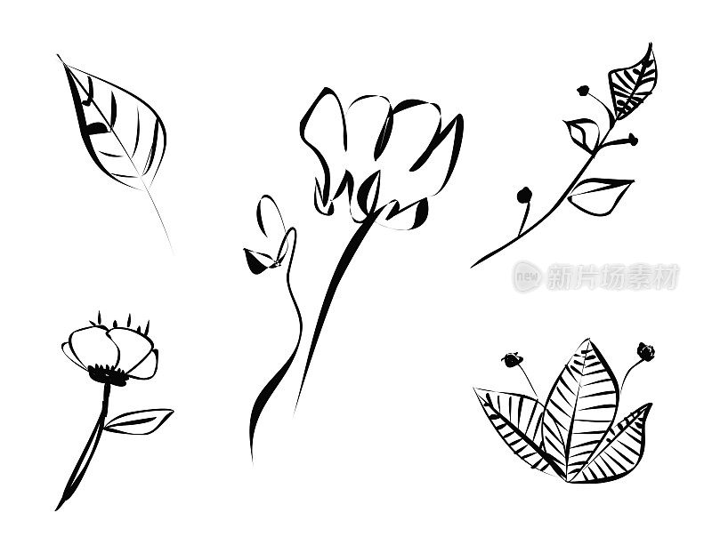 矢量抽象涂鸦风格极简主义植物花叶草图一条线艺术手绘符号手工插图收藏