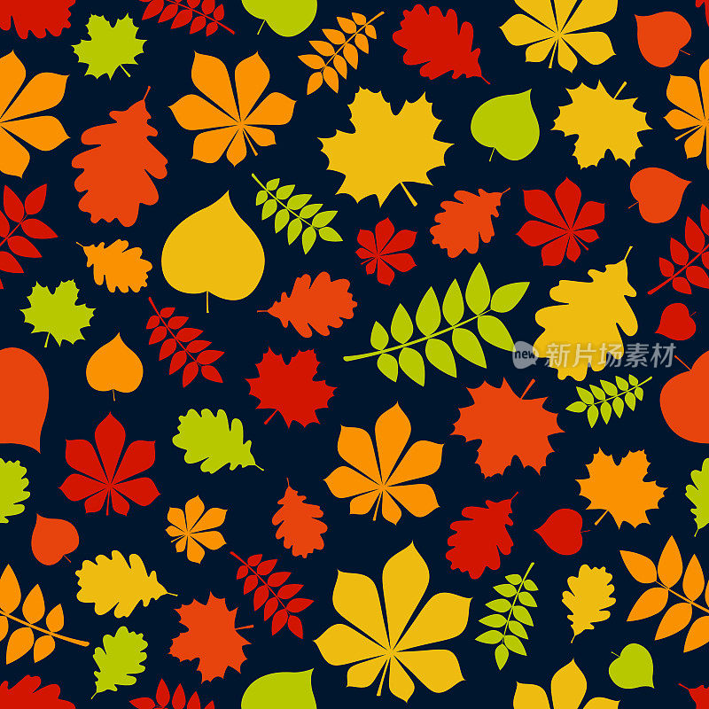 秋天的树叶图案。包装纸的概念。矢量图
