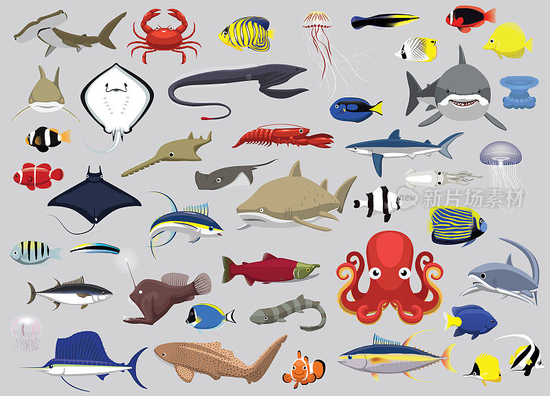 动物鱼类海洋生物人物卡通矢量