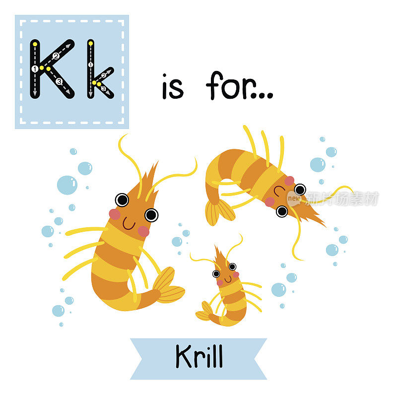 字母K跟踪。磷虾。