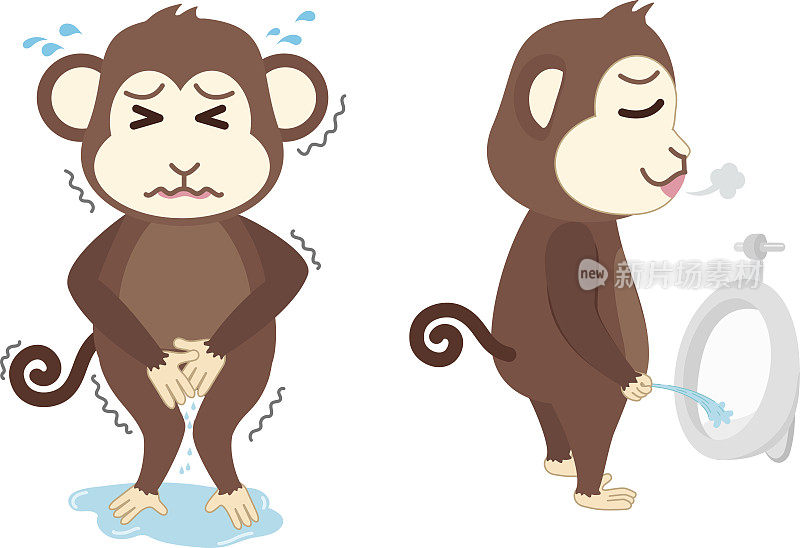 猴子需要撒尿和站着撒尿